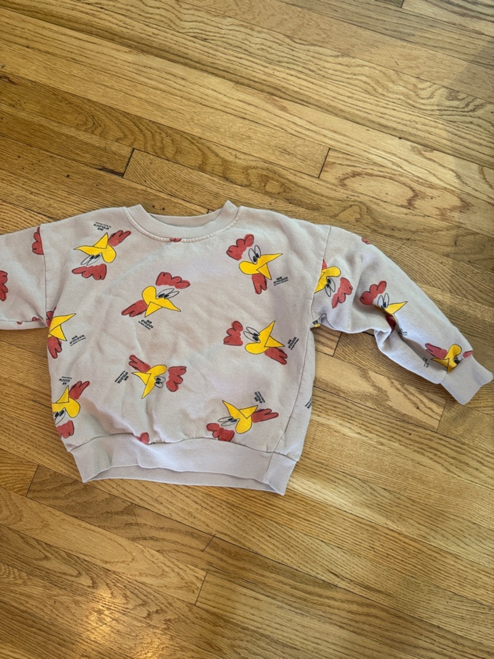 Kids Light tan Sweatshirt with Yellow & Red Bird Print